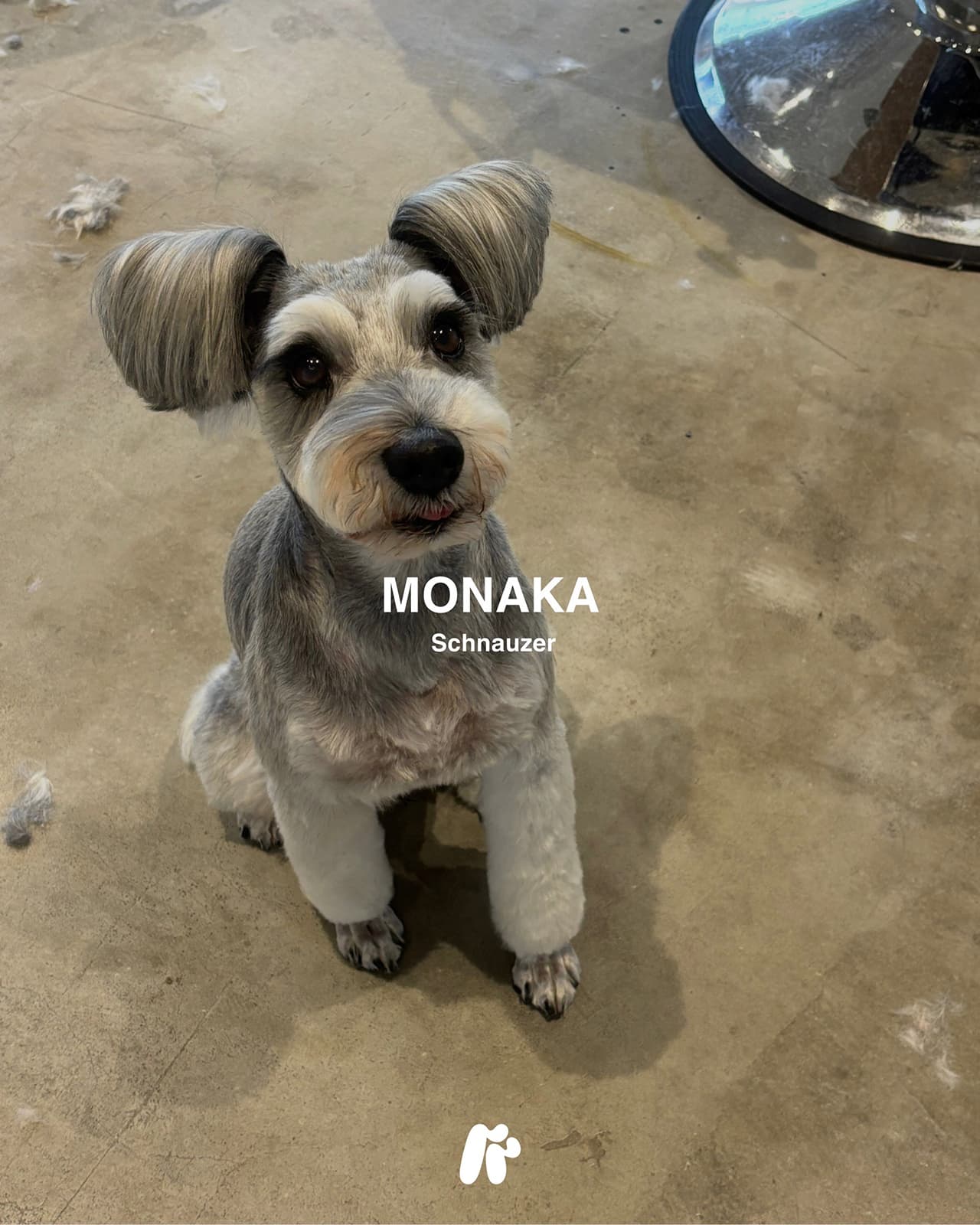 施術例／MONAKA（Instagramへ）